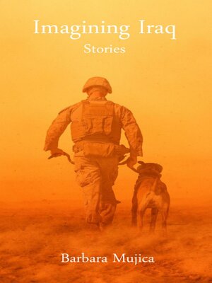 cover image of Imagining Iraq Stories
